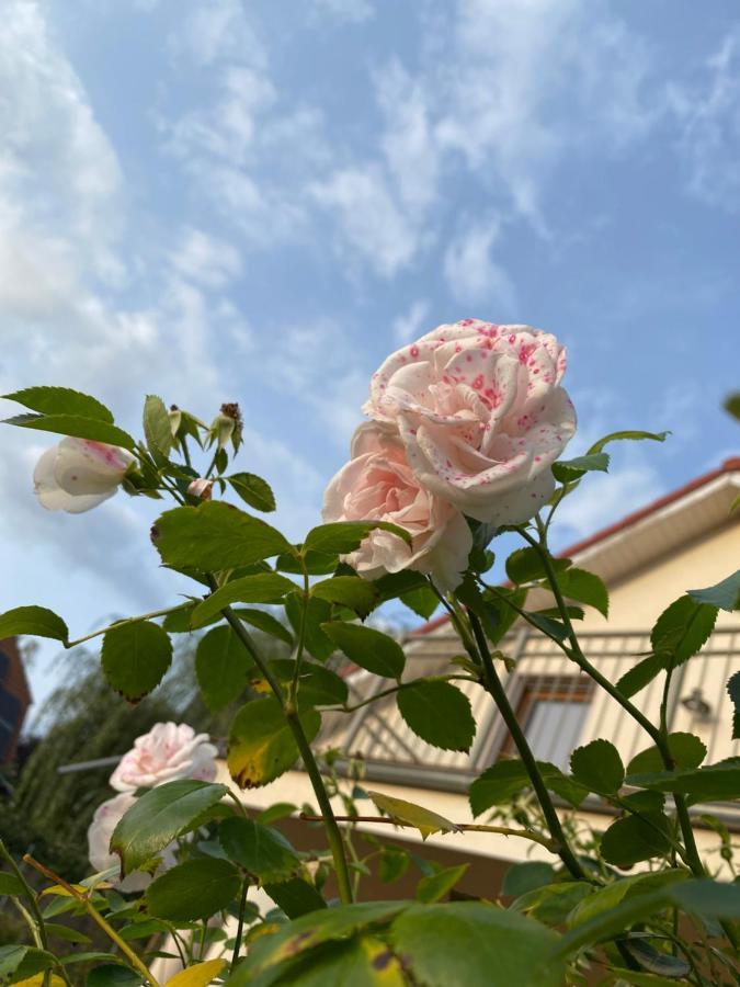 Haus Gartenparadies Vakantiehuis